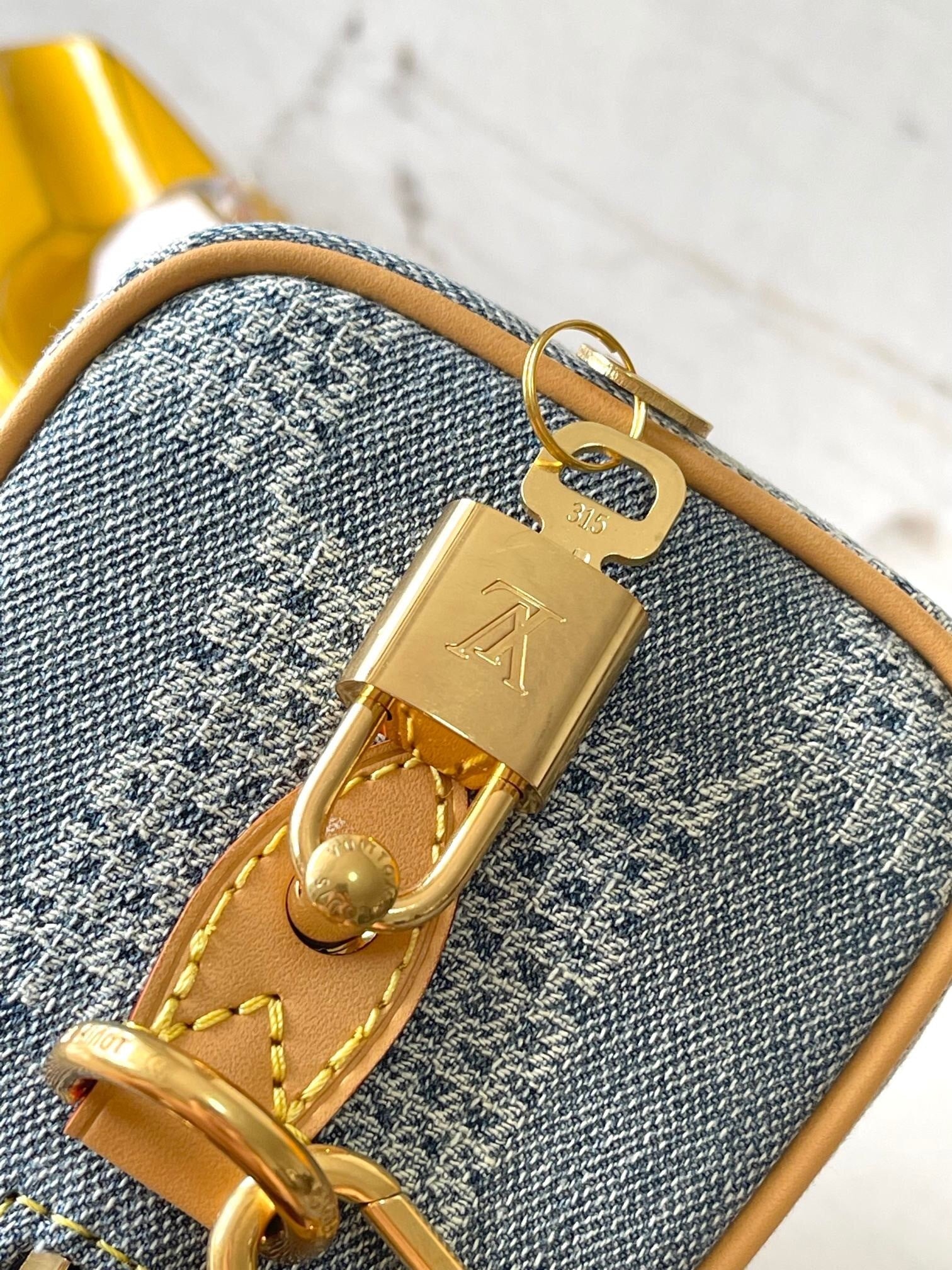 Sac LV Nano Speedy Jean