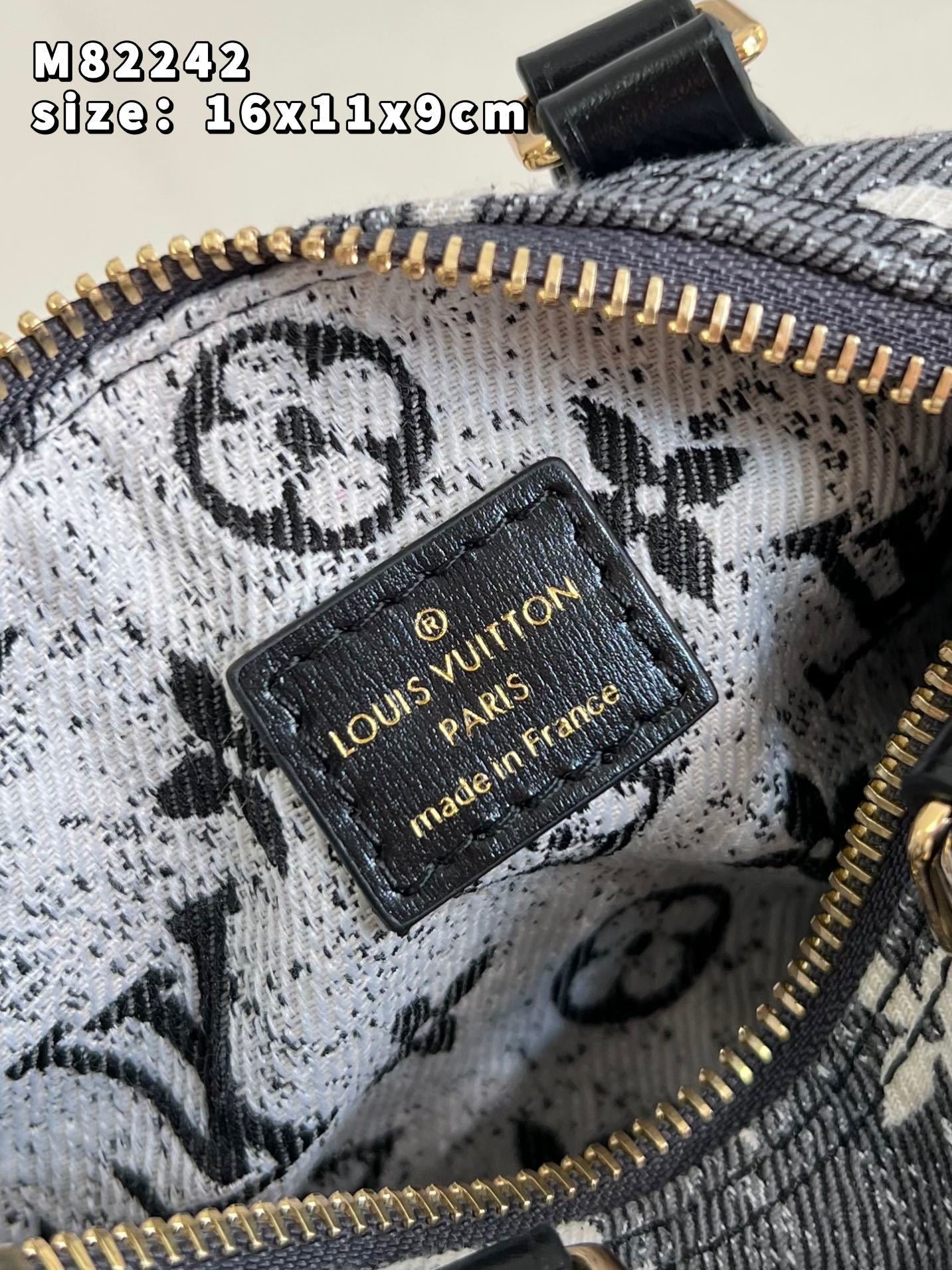 Sac LV Nano Speedy Jean